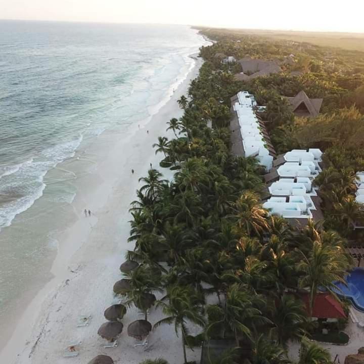 Emotion Avenida Tulum Hotel & Hostal Exteriér fotografie